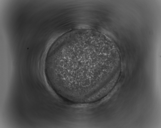 X0000092080049200710031143