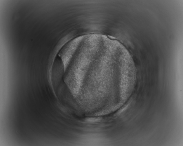 X0000092080051200710031143