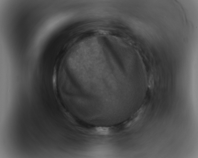 X0000092080052200710031143