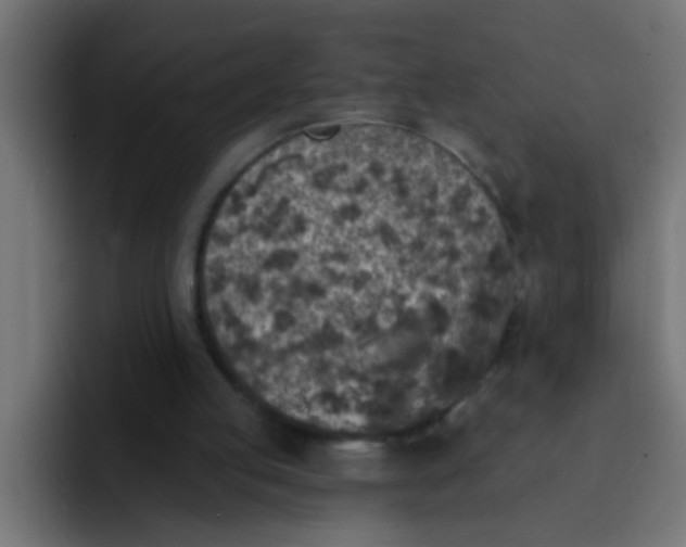 X0000092080053200710031143