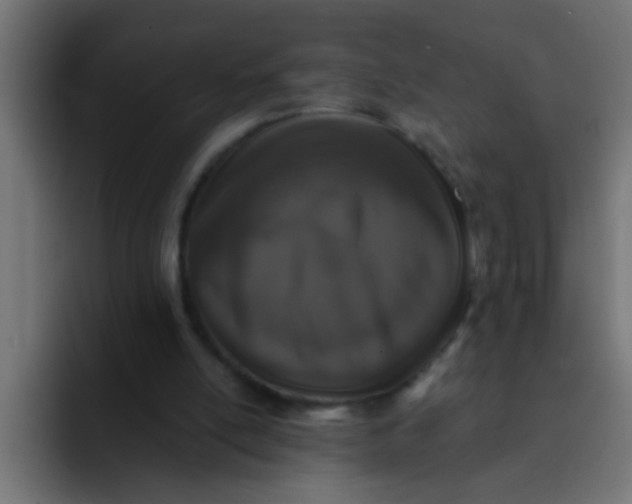 X0000092080054200710031144