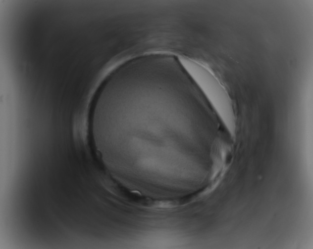 X0000092080056200710031144