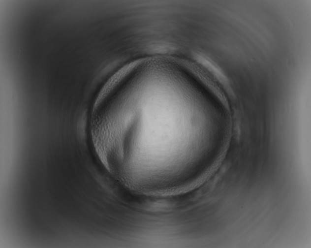 X0000092080058200710031144