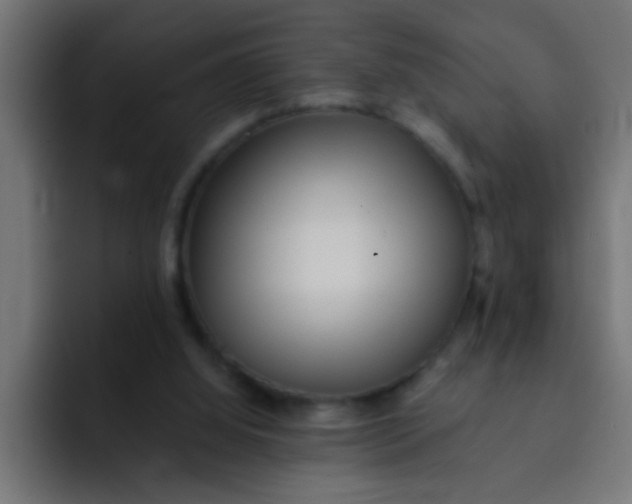 X0000092080060200710031144