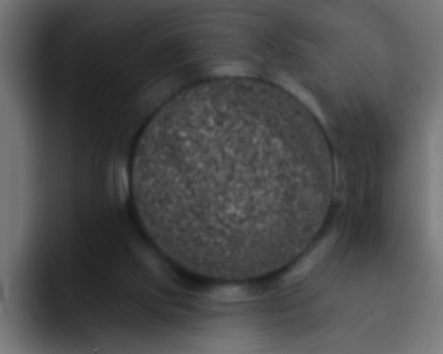 X0000092080061200710031144