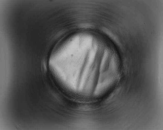 X0000092080062200710031144