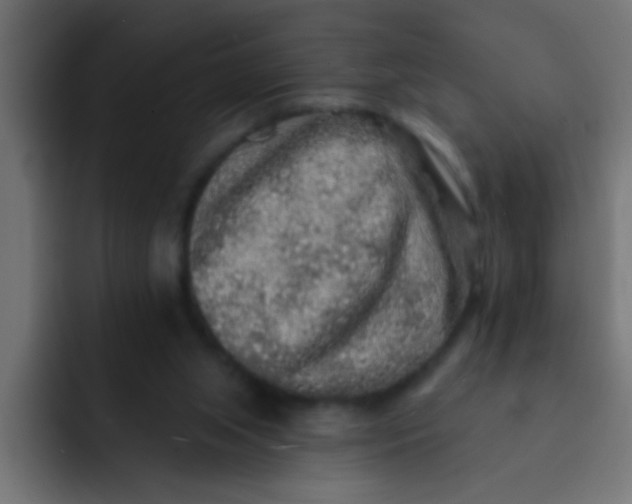 X0000092080063200710031144