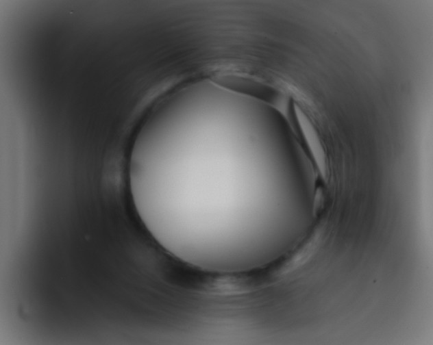 X0000092080064200710031144