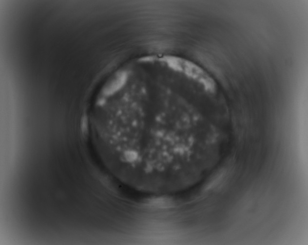 X0000092080067200710031144