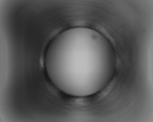 X0000092080068200710031144