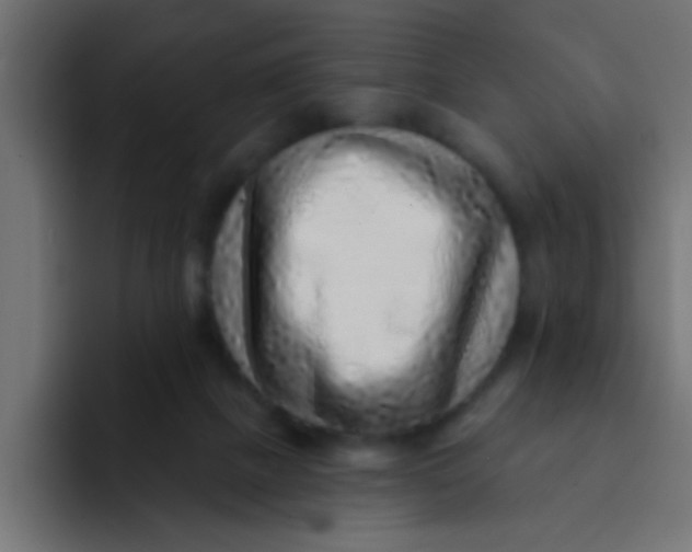 X0000092080073200710031144