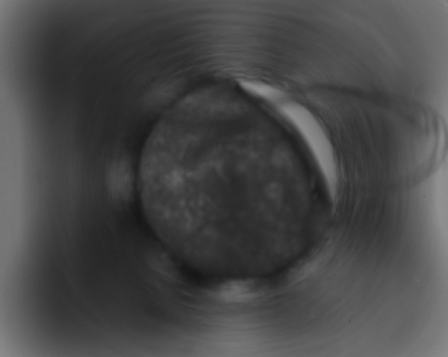 X0000092080080200710031144