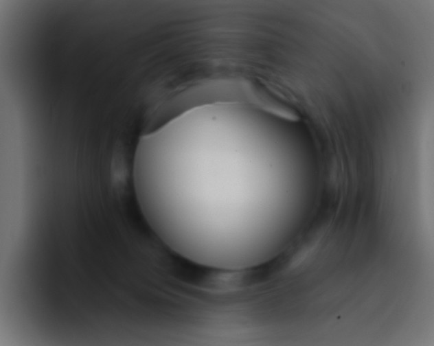 X0000092080084200710031144