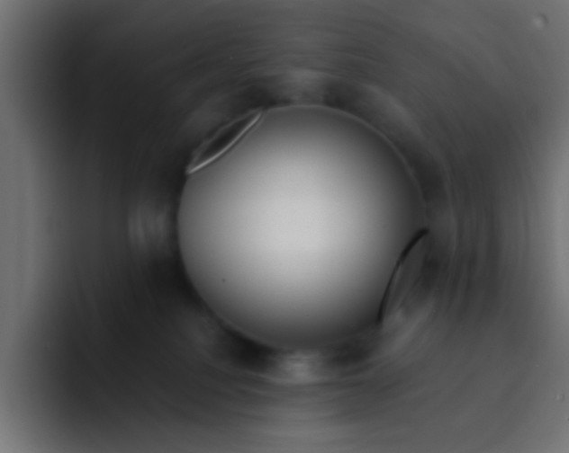 X0000092080088200710031144