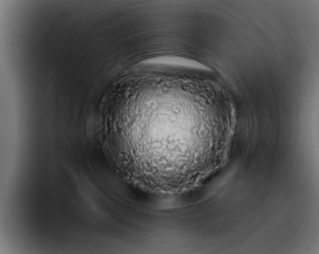 X0000092080093200710031144