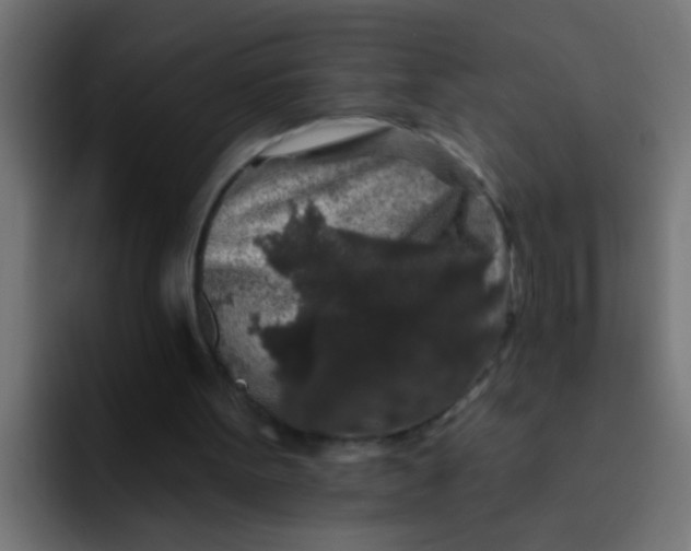 X0000092080099200710031143