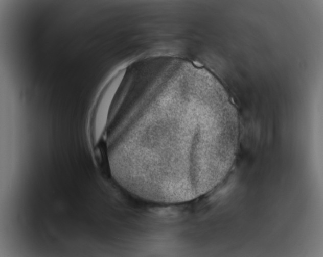 X0000092080100200710031143