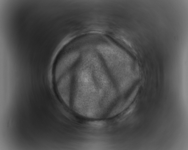 X0000092080102200710031143