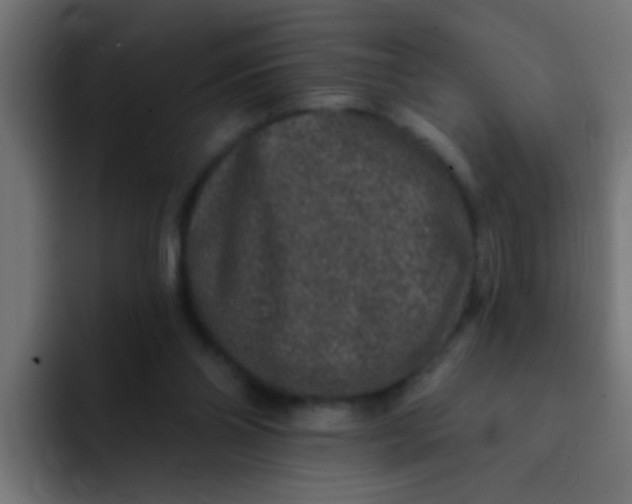 X0000092080110200710031143