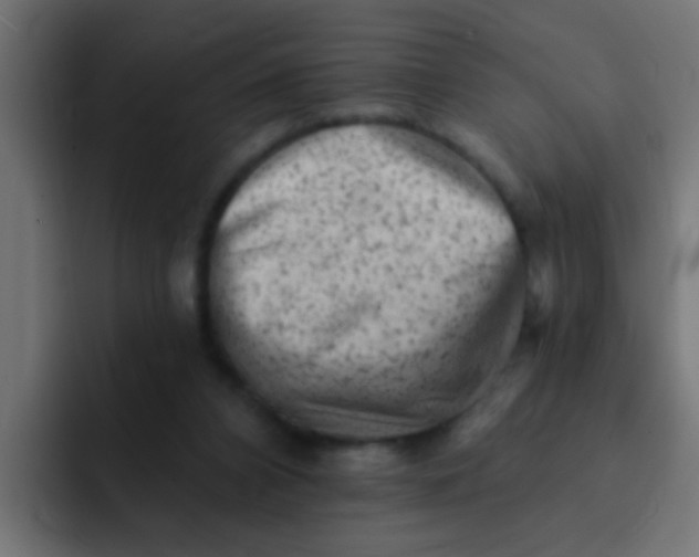 X0000092080112200710031143