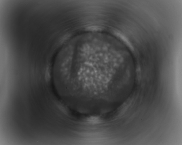 X0000092080114200710031143