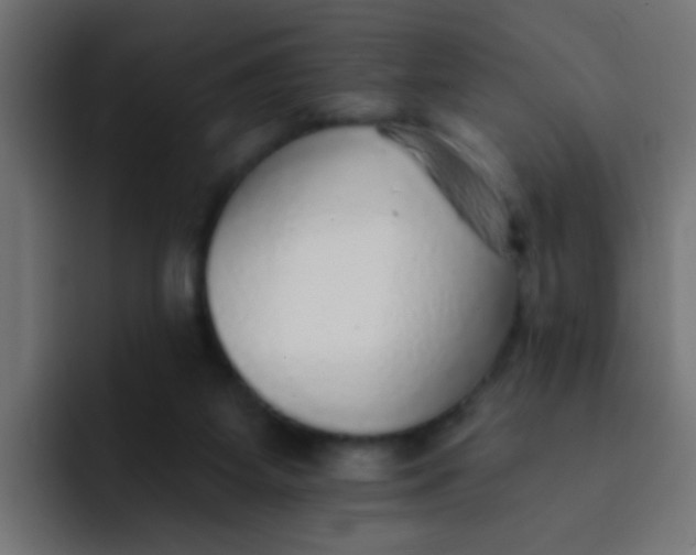 X0000092080115200710031143