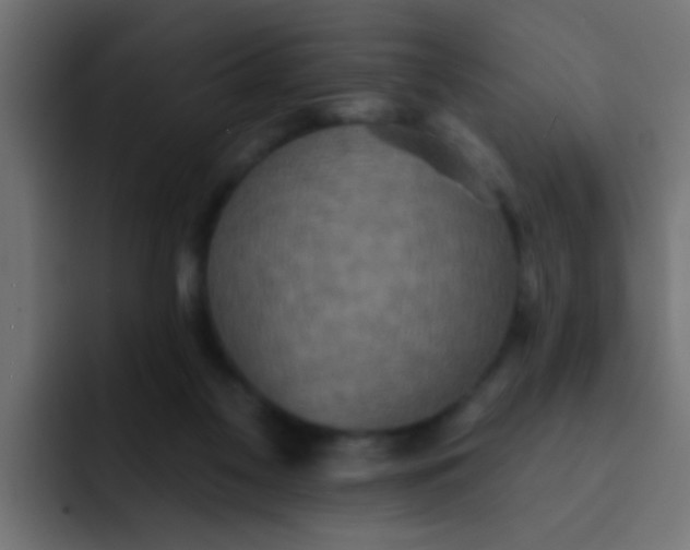 X0000092080117200710031143