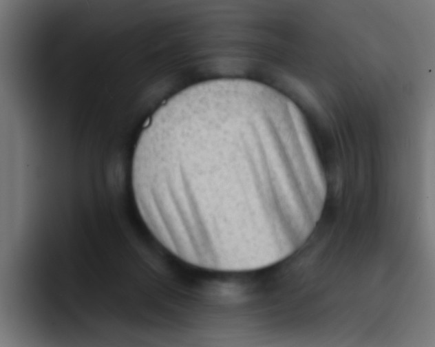 X0000092080120200710031143