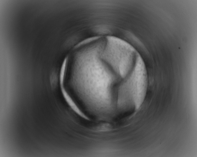 X0000092080124200710031143