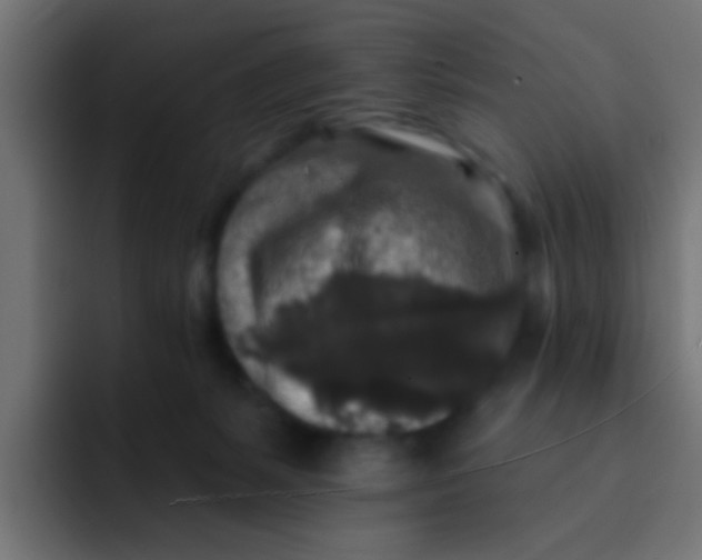 X0000092080127200710031143