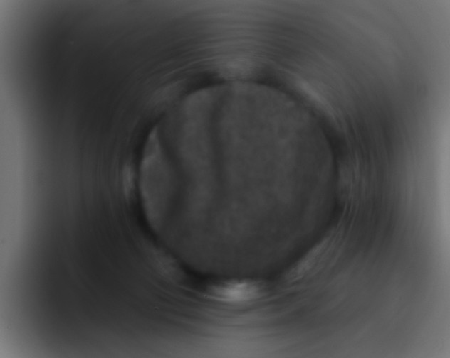 X0000092080130200710031143