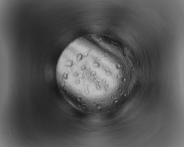 X0000092080131200710031143