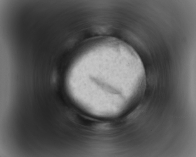 X0000092080132200710031143