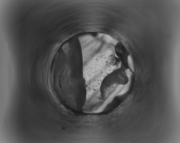 X0000092080145200710031142