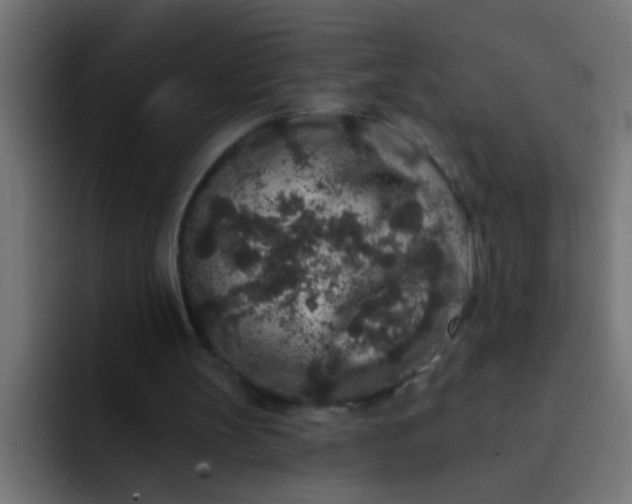 X0000092080147200710031142