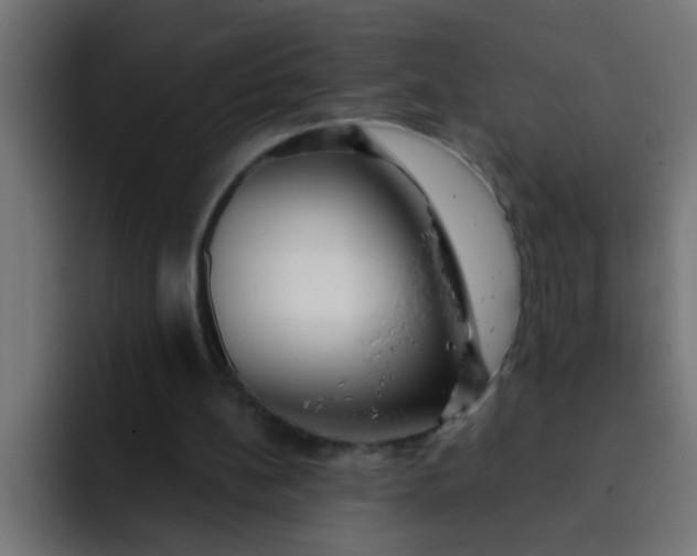 X0000092080148200710031142