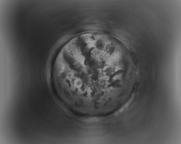 X0000092080149200710031142