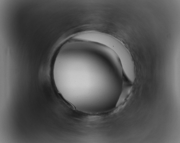 X0000092080150200710031142