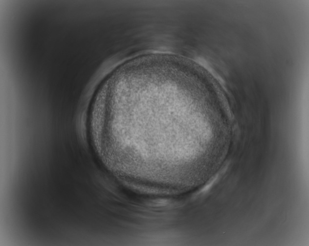 X0000092080151200710031142