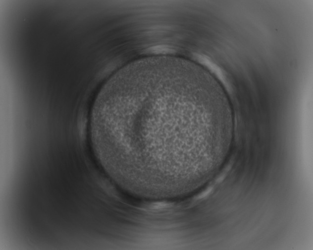 X0000092080153200710031142