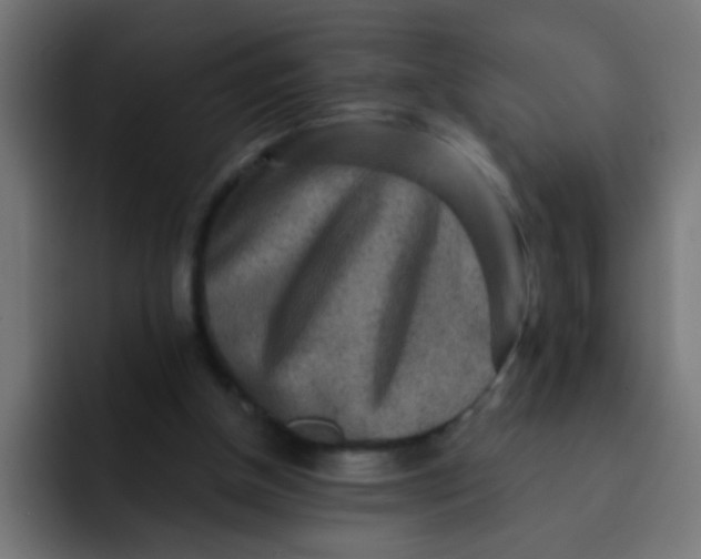 X0000092080154200710031142