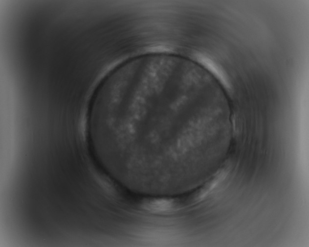 X0000092080156200710031142