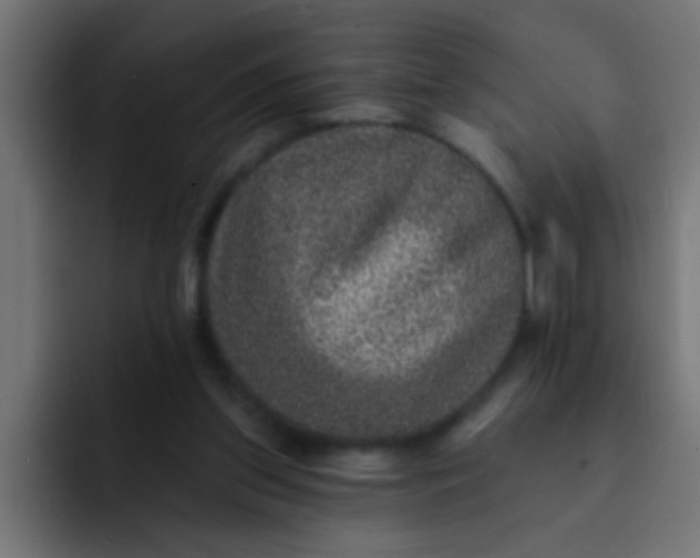 X0000092080157200710031142