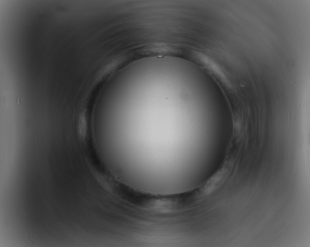 X0000092080158200710031142