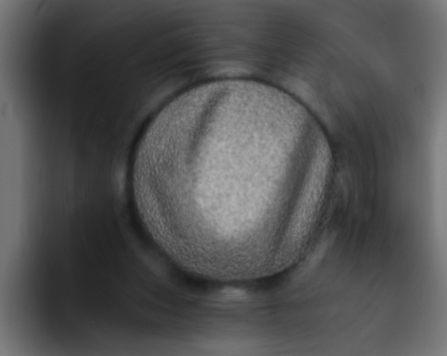 X0000092080159200710031142