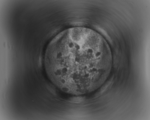 X0000092080161200710031143