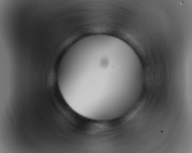 X0000092080164200710031143