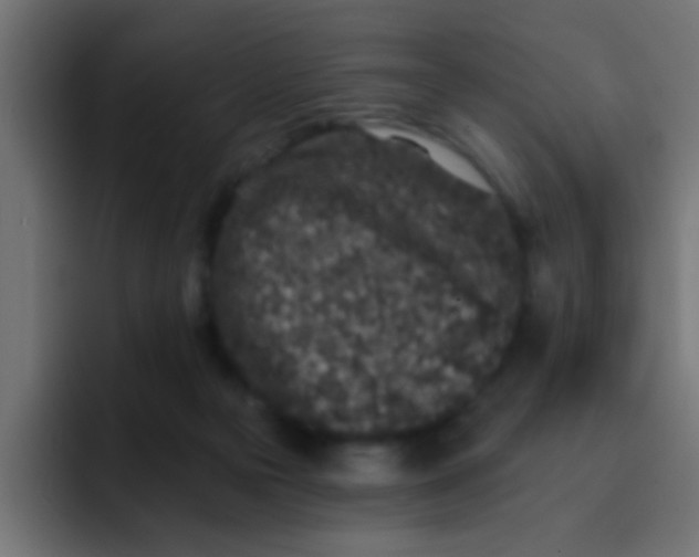 X0000092080169200710031143