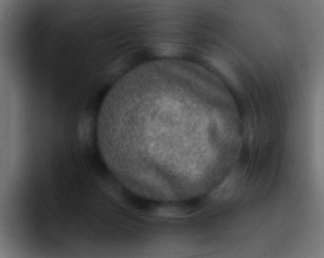 X0000092080171200710031143