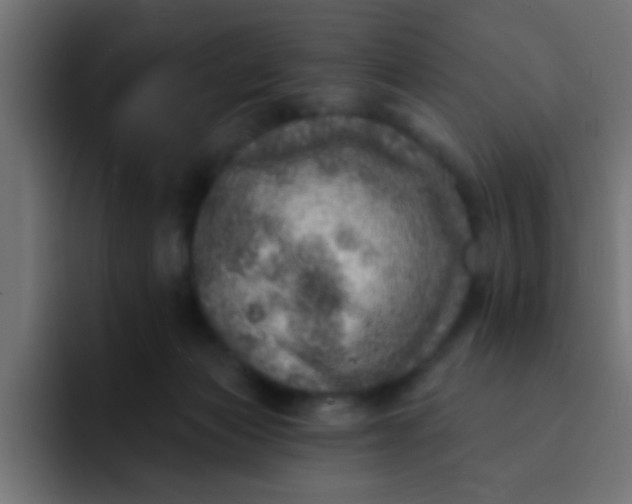 X0000092080173200710031143